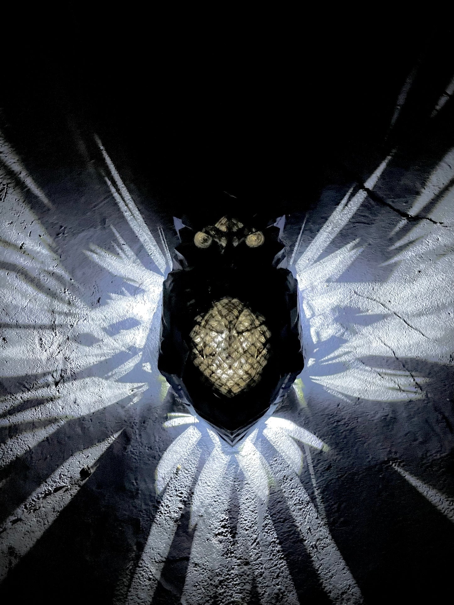 Light Explosions - Wall Lamps - Lion's Mane, Eagle's Wings, Fairy's Wings, Owl's Wings, and Pegasus' Wings