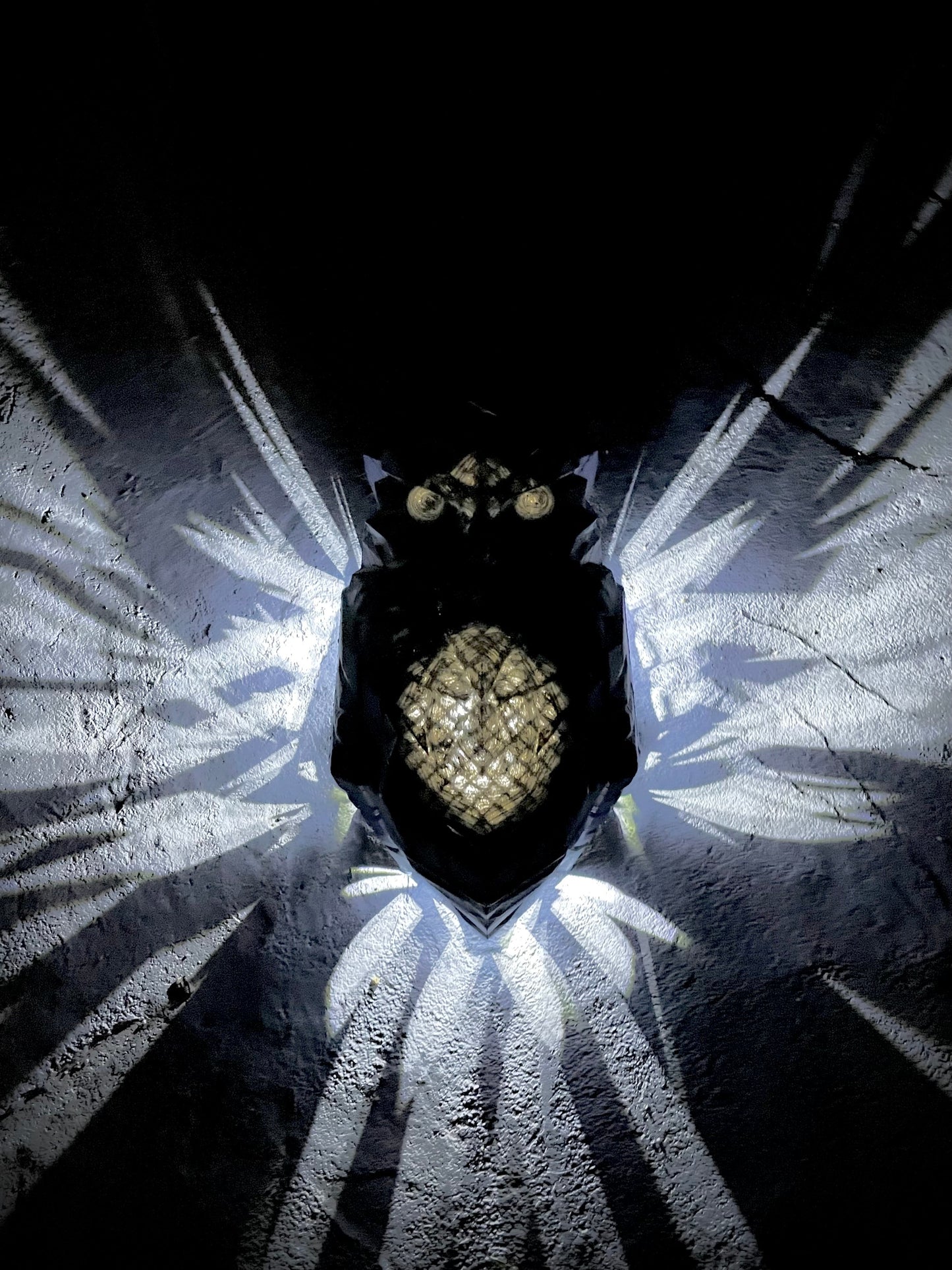 Light Explosions - Wall Lamps - Lion's Mane, Eagle's Wings, Fairy's Wings, Owl's Wings, and Pegasus' Wings
