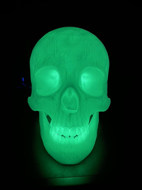 Skull Decor - Desktop / Table Top - "Limited Edition" Glow in the Dark