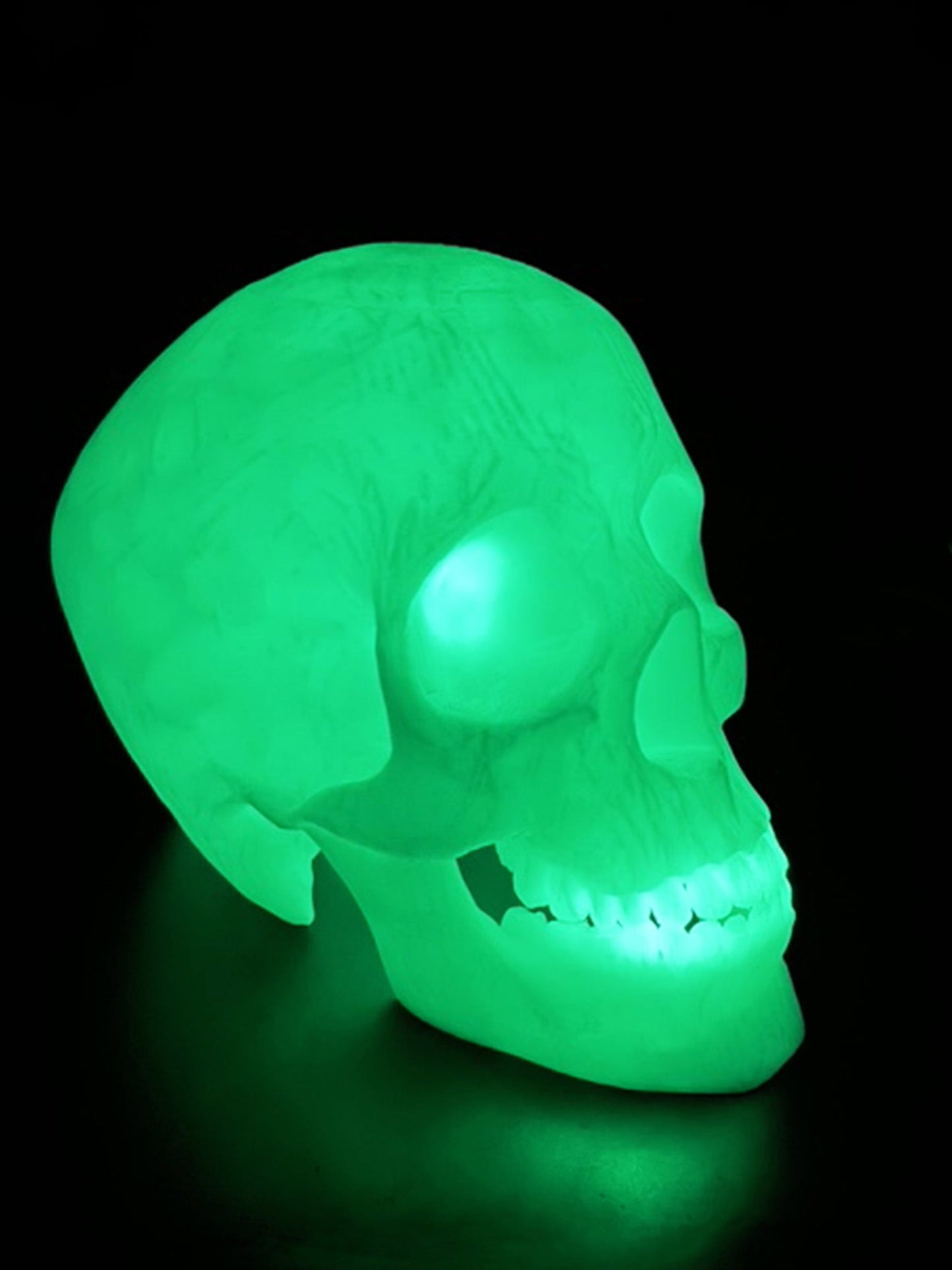 Skull Decor - Desktop / Table Top - "Limited Edition" Glow in the Dark
