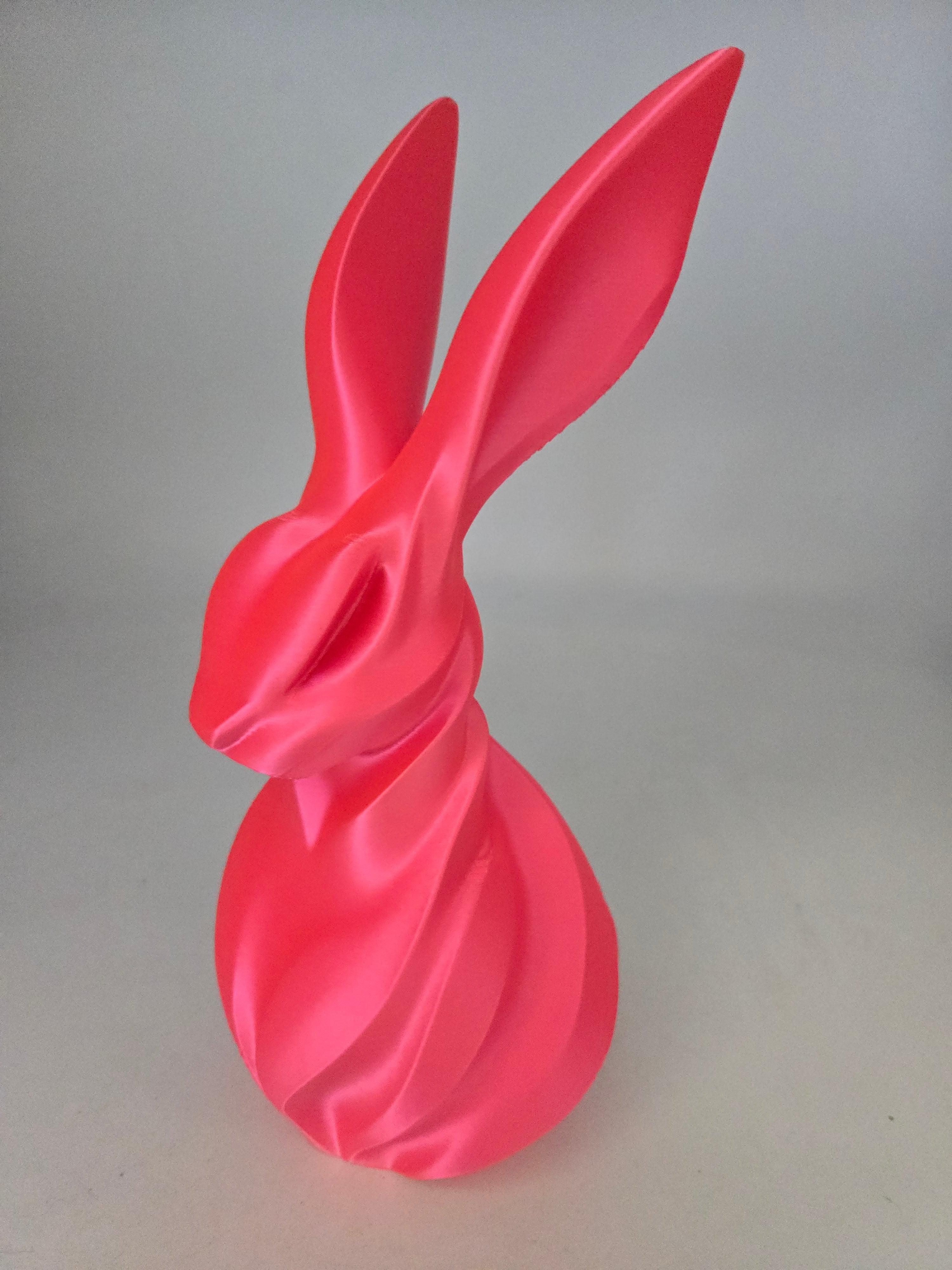 3D Printed Bunny Rabbit Home Decor