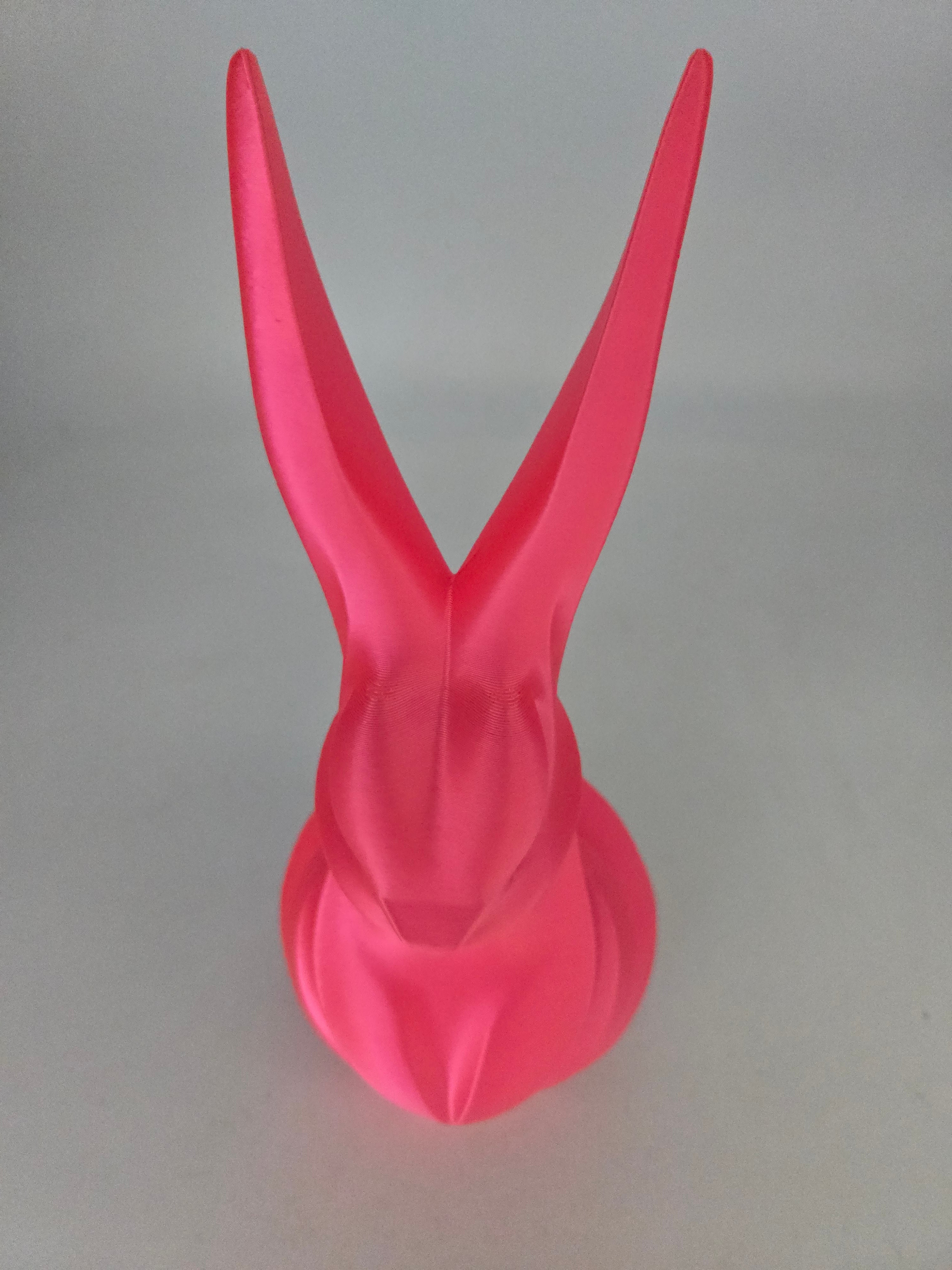 3D Printed Bunny Rabbit Home Decor