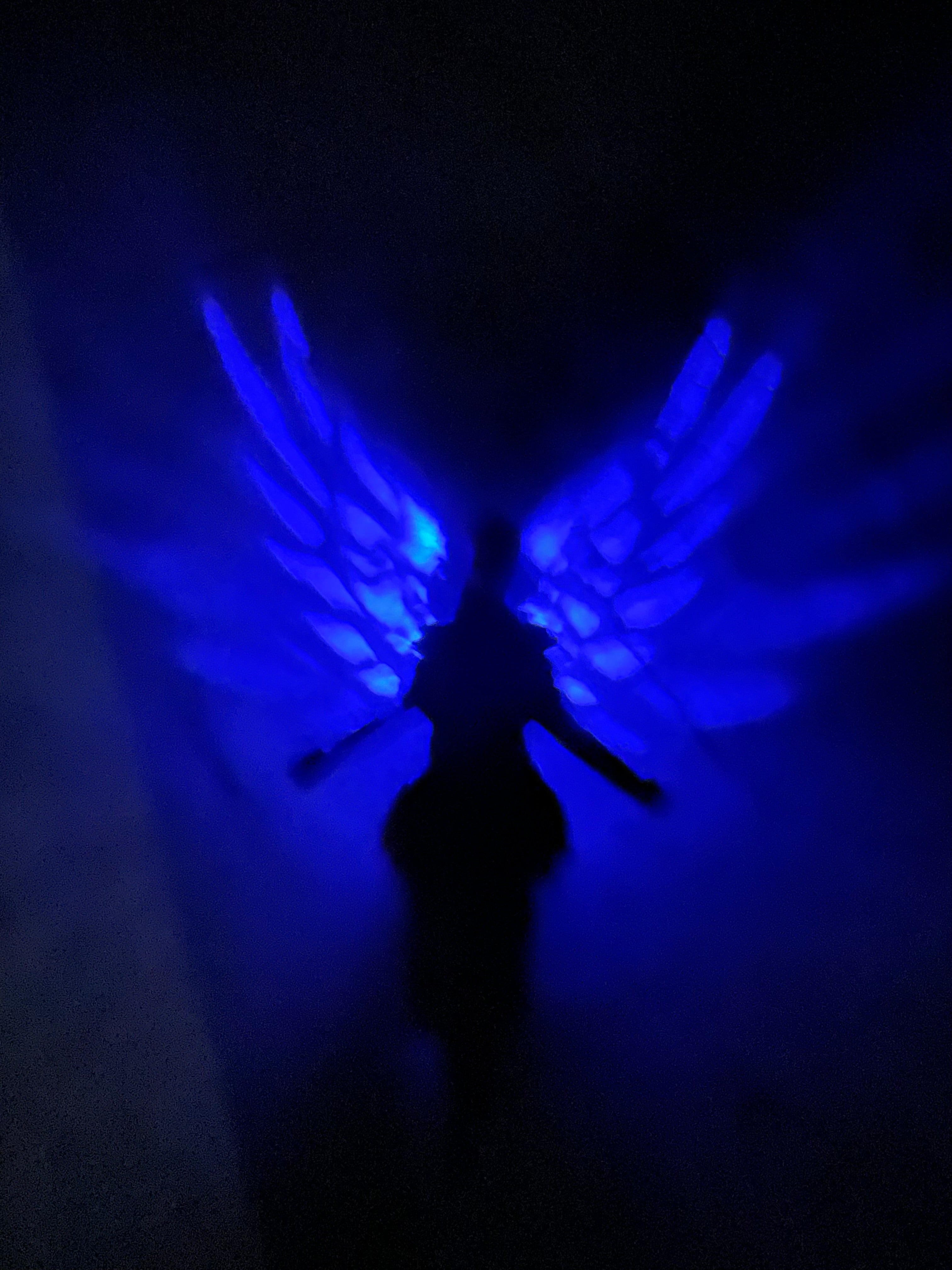 Light Explosions - Wall Lamps - Lion's Mane, Eagle's Wings, Fairy's Wings, Owl's Wings, and Pegasus' Wings