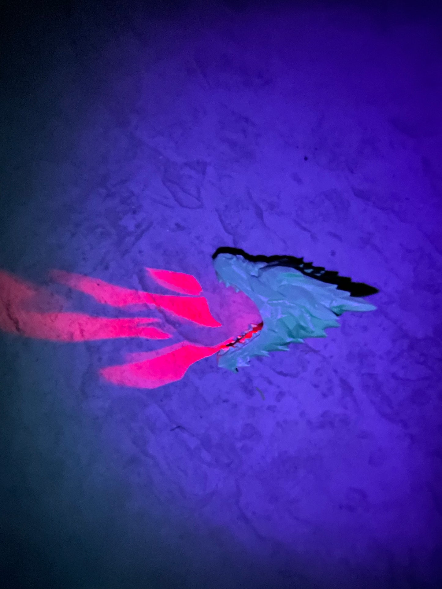 Light Explosions - Wall Lamps - Lion's Mane, Eagle's Wings, Fairy's Wings, Owl's Wings, and Pegasus' Wings