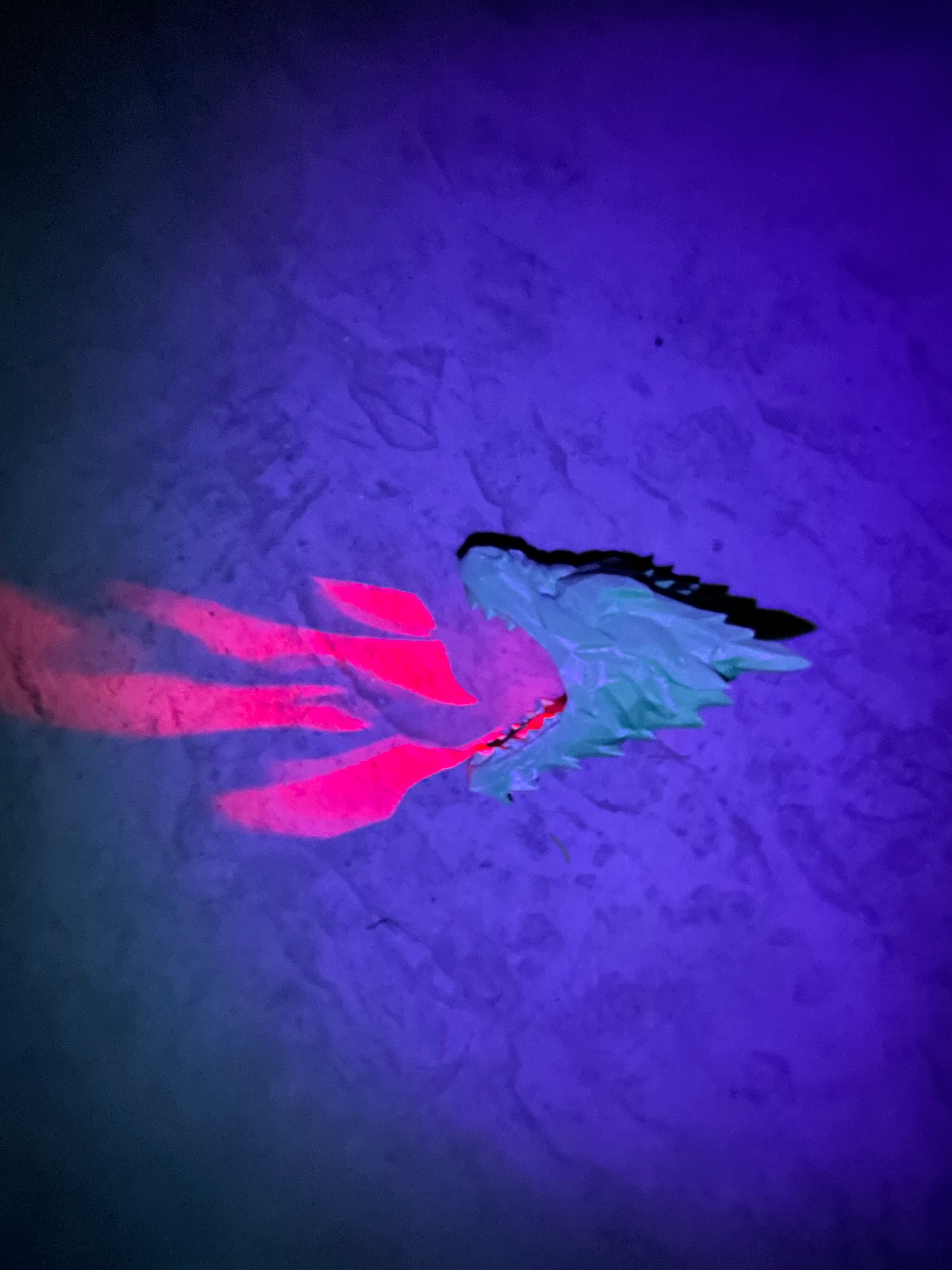 Light Explosions - Wall Lamps - Lion's Mane, Eagle's Wings, Fairy's Wings, Owl's Wings, and Pegasus' Wings